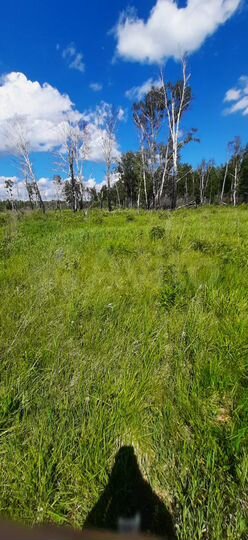 Участок 15 сот. (СНТ, ДНП)