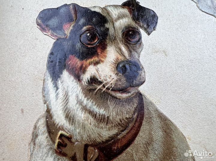 Дореволюционный альбом для наклеивания картинок