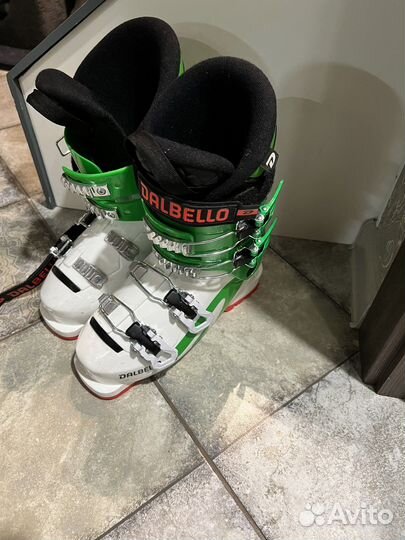 Горнолыжные ботинки