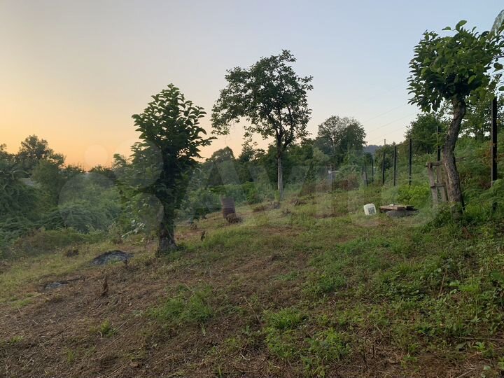 Участок 5,1 сот. (СНТ, ДНП)