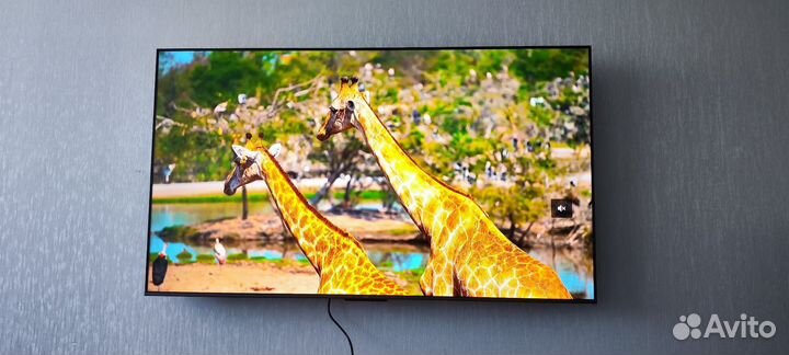 Телевизор TCL 65c647 qled, 65 диагональ