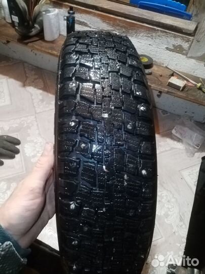 КАМА Кама-503 135 R12