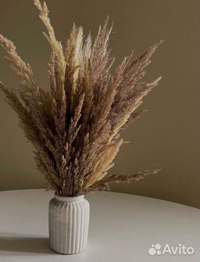 Букет из сухоцветов