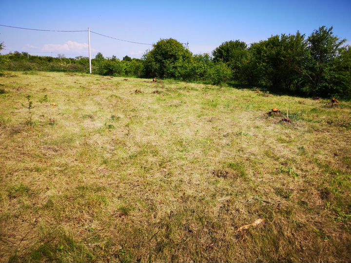 Участок 9,8 сот. (ИЖС)