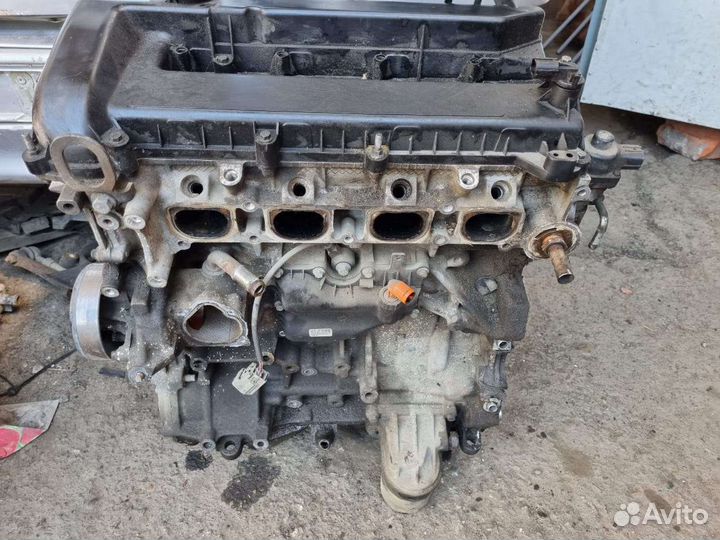 Головка фокус дуратэк 2.0л. ц макс