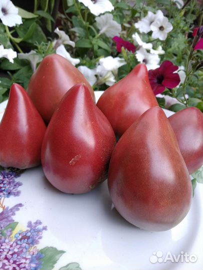 Сердце Линея,Мутная Мамба и другие