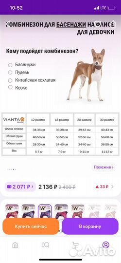 Костюм для собак