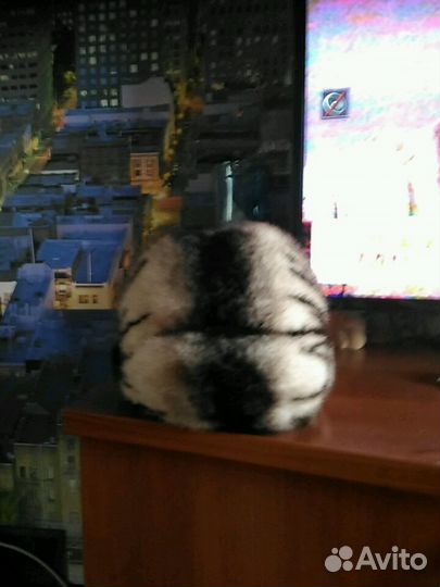 Шапка норка