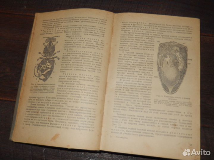 Пчеловодство