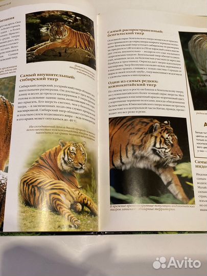 Энциклопедия животных (комплект из 38 книг)