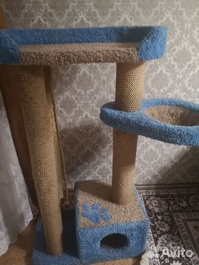 Когтеточка домик для кошки бу