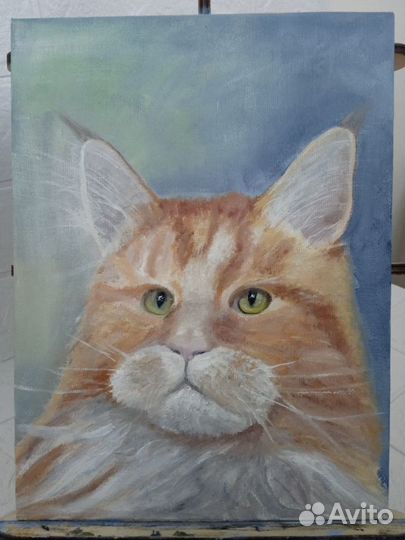 Картина маслом на холсте портрет кота