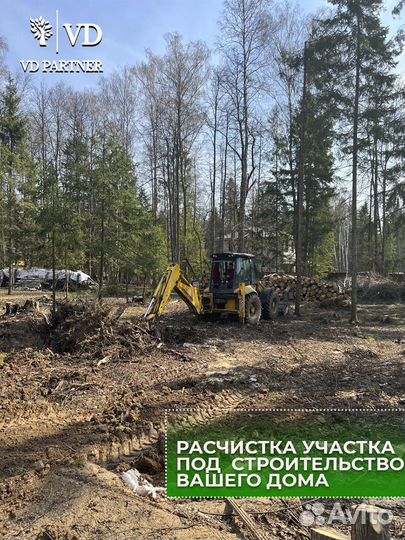 Спилить дерево на участке