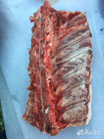 Мясо. Свинина домашняя. Сало