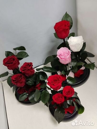 Роза в колбе оптом и в розницу