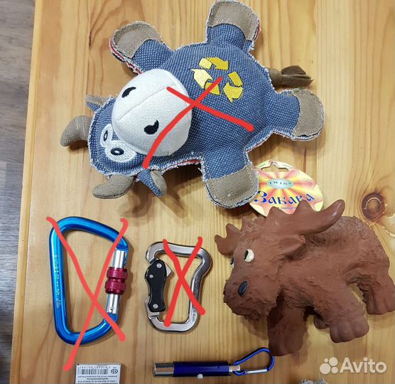 Амуниция для собак