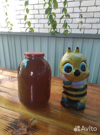 Мёд (мед) кориандровый