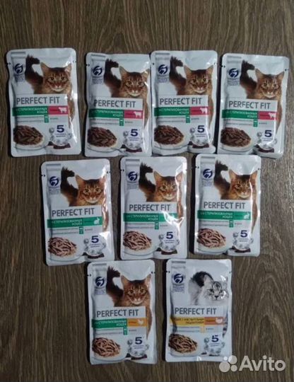 Корм для котов