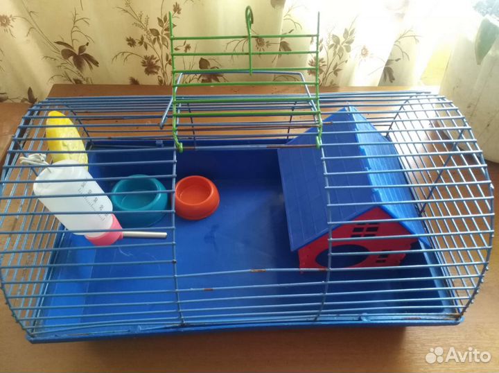 Клетка для джунгарского хомяка