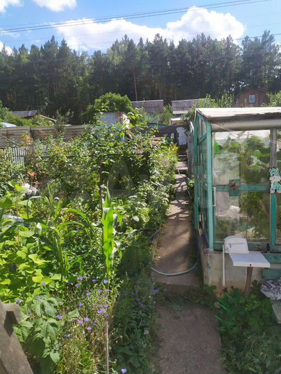 Дом 36 м² на участке 4 сот.