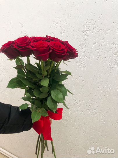 Роза Эквадор цветы букет роз