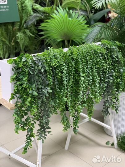 Искуственная зелень