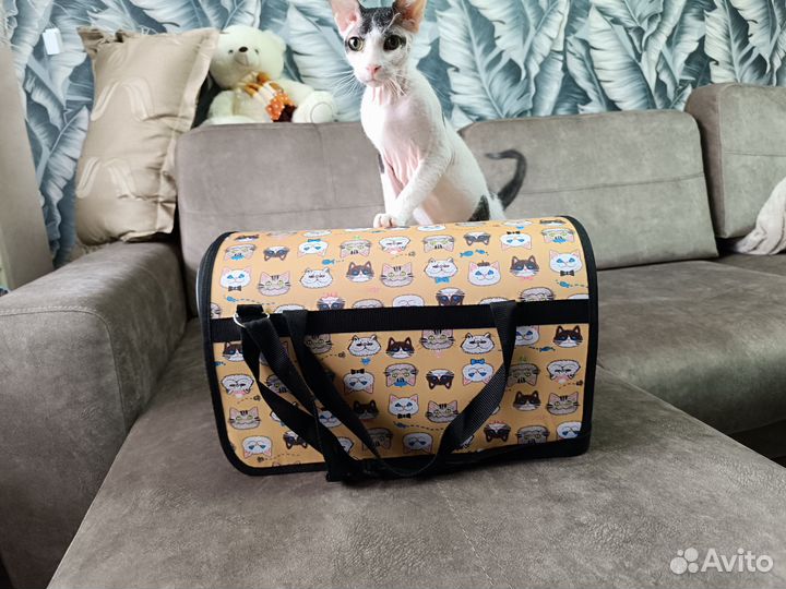 Переноска для кошек бу