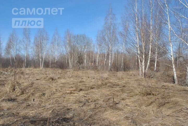 Участок 11,4 сот. (СНТ, ДНП)