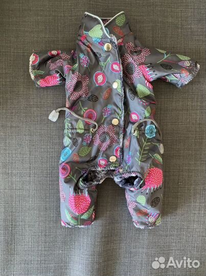 Одежда для собак мелких пород