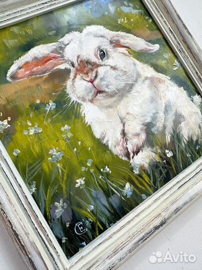 Картина маслом зайчик в рамке Картина с кроликом