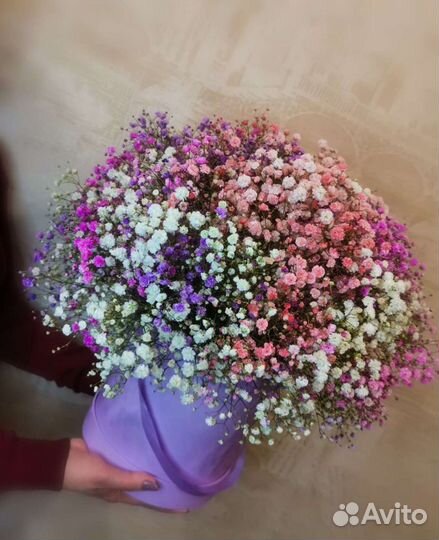 Цветочная композиция Гипсофила Букеты Цветы