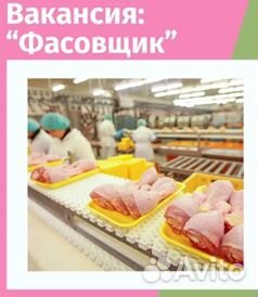 Упаковщик вахта 15 смен в Ростов Питание/Жильё