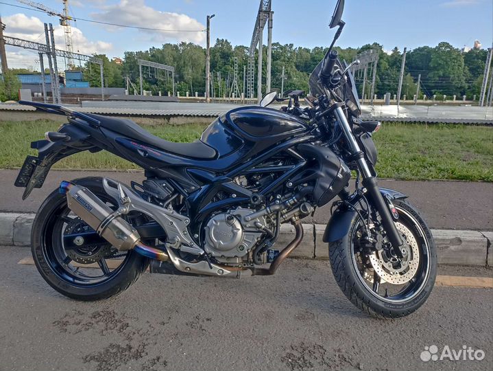 Suzuki sfv650 Gladius