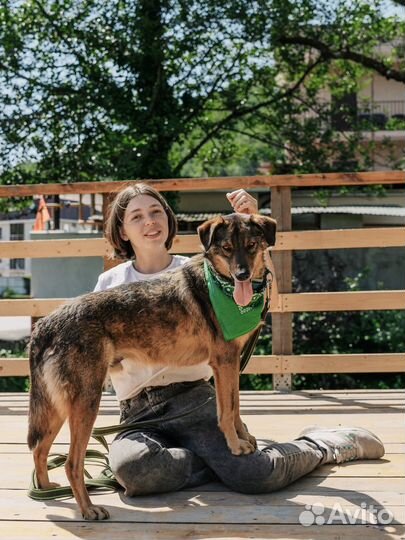 Томас хочет в семью