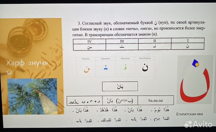 Репетитор по арабскому языку