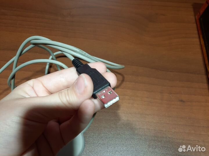 Мышь genus совсем новая