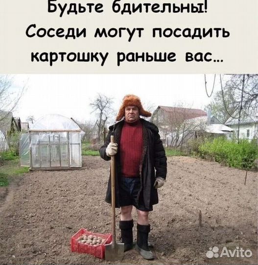 Вспахать огород мотоблоком