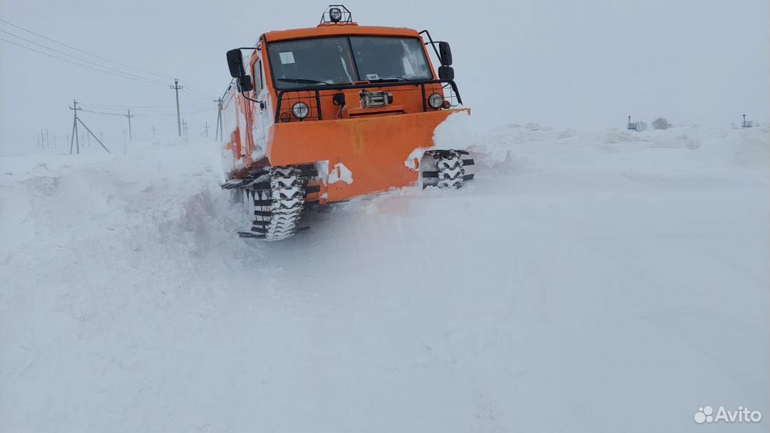 Снегоболотоход ттм 3пс