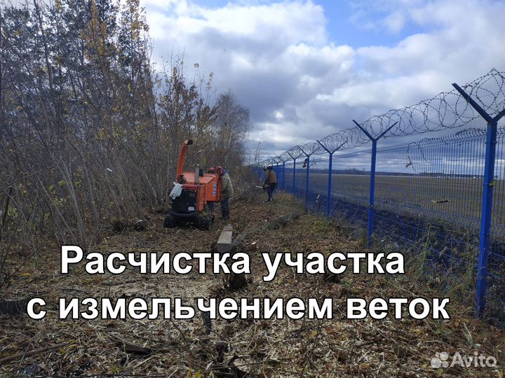 Спил и обрезка деревьев, расчистка участка