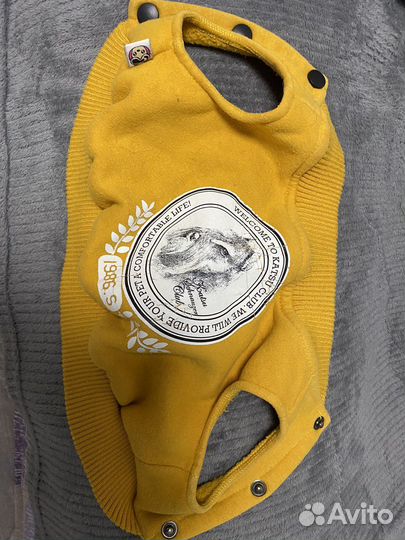 Одежда для собак