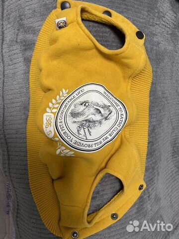 Одежда для собак