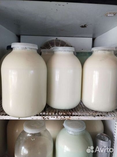 Молоко коровье домашнее и сметану творог масло