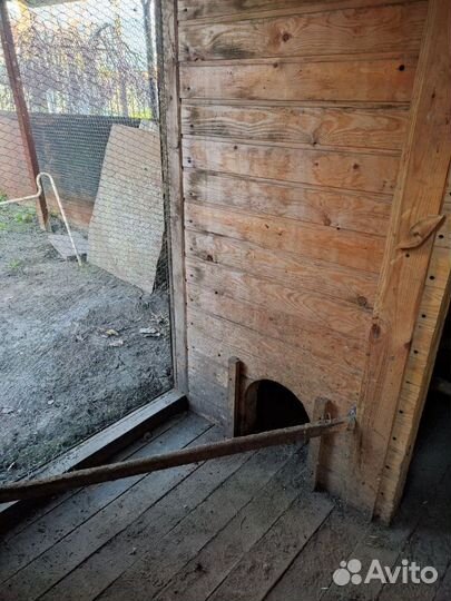 Курятник зимний