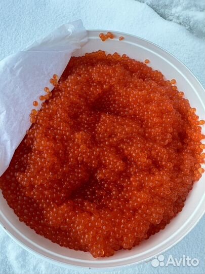 Икра форели