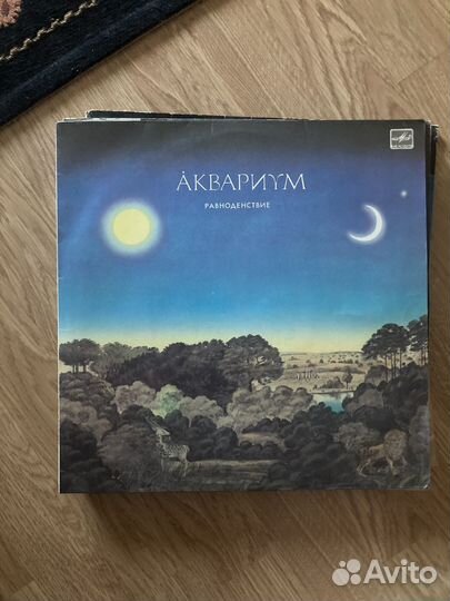 Виниловые пластинки