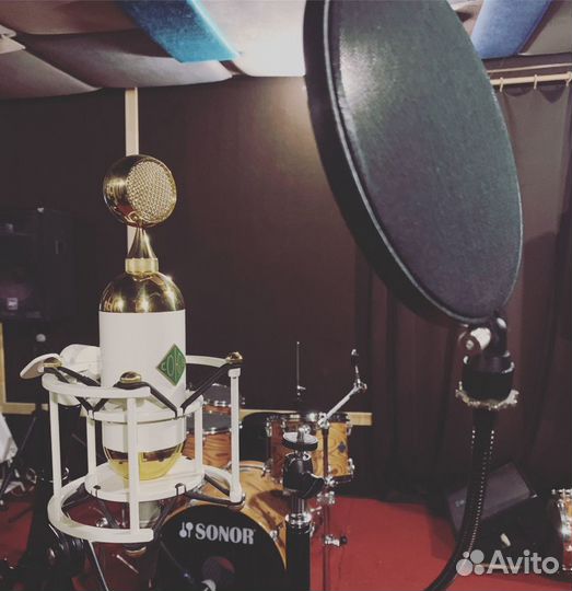 Тексты песен