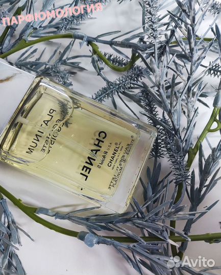 Chanel Egoiste platinum