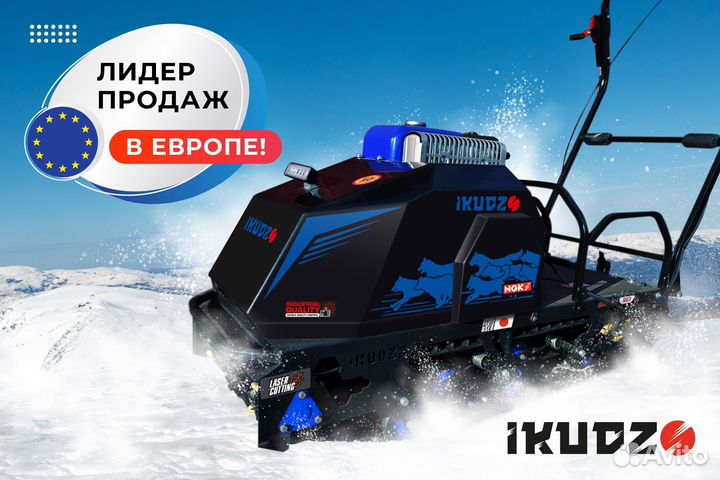 Ikudzo-briggs & stratton 2.0 1450/500 EKR15 синий