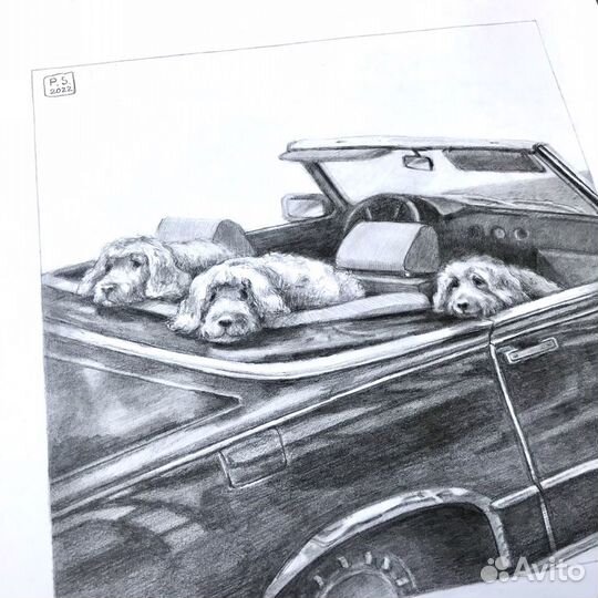 Постер Картина Открытка