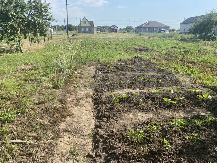 Участок 6 сот. (ИЖС)